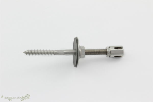 Set T M8 - Image 5