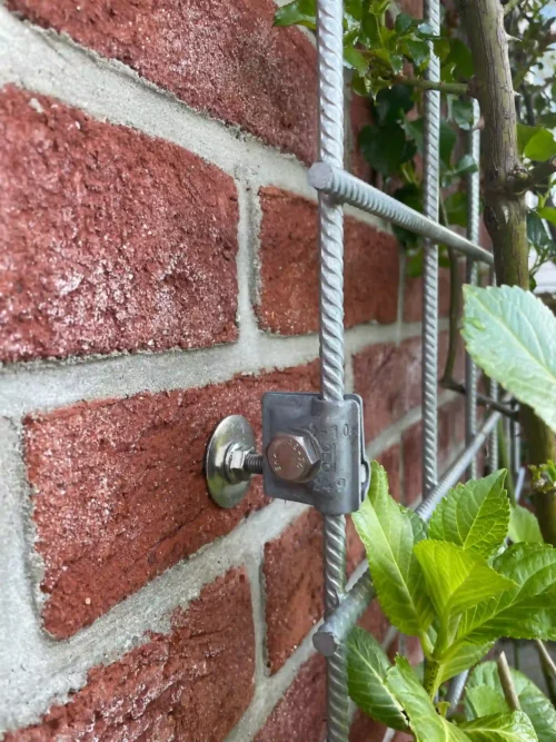 Gitterklemme befestigt Rankhilfe für Begrünung an Mauer