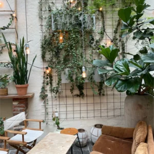 Indoor Rankgitter aus rostigem Stahl.