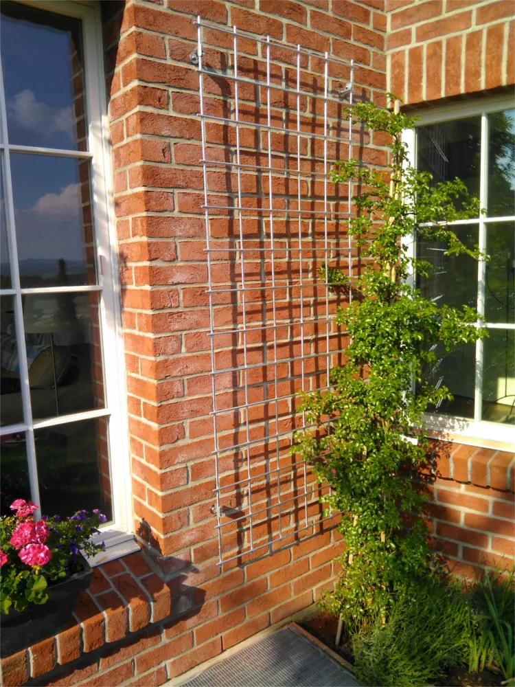 Home An einer Steinmauer ist ein verzinktes Rankgitter mit einer Kletterpflanze befestigt